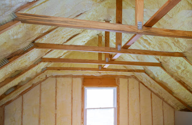 Best Eco-Friendly Insulation in Oconomowoc, WI