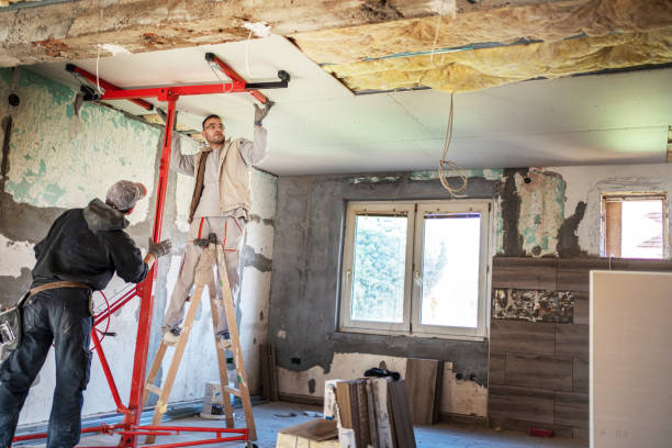 Best Eco-Friendly Insulation in Oconomowoc, WI